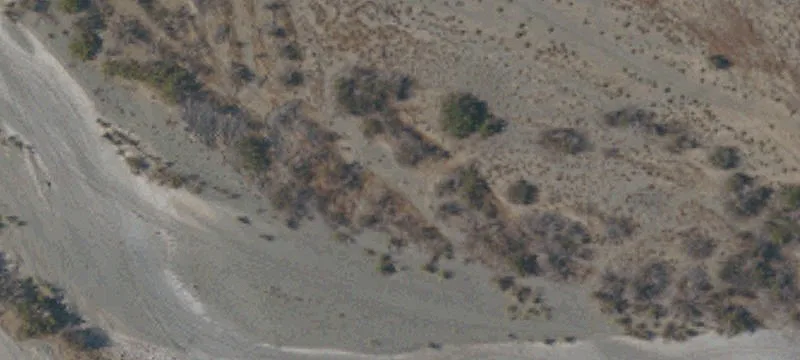 Orland, CA 95963