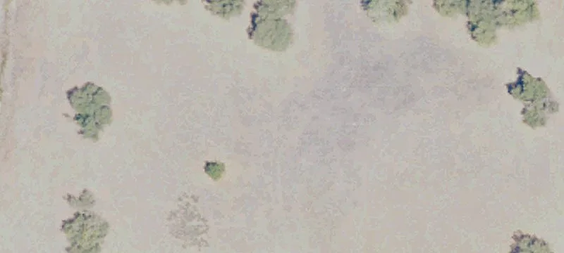 Williams, CA 95987