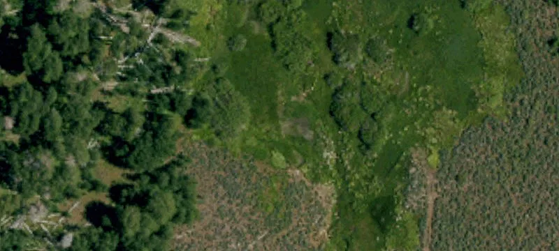 Mcarthur, CA 96056