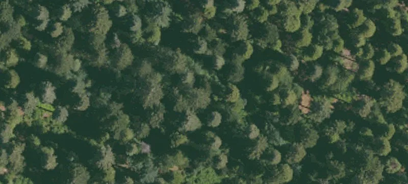 Pollock Pines, CA 95726