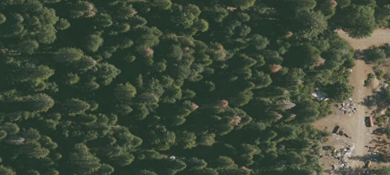 Alleghany, CA 95910