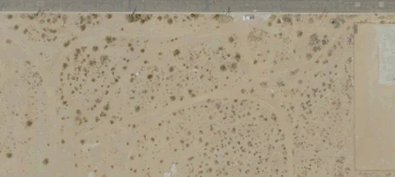 Ridgecrest, CA 93555