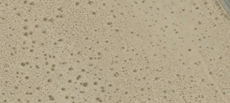 Ridgecrest, CA 93555