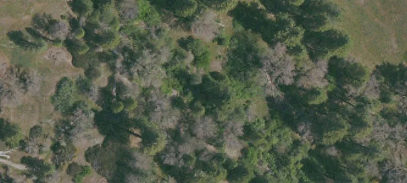 Cobb, CA 95426