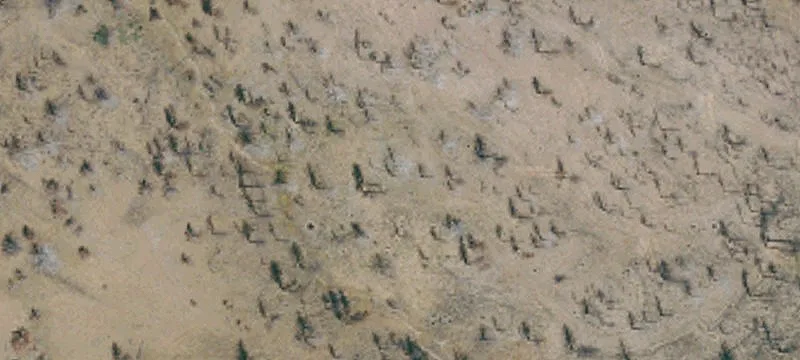 Susanville, CA 96130