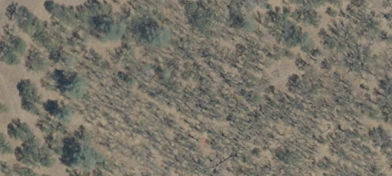 Cottonwood, CA 96022