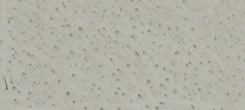 Rancho Mirage, CA 92270