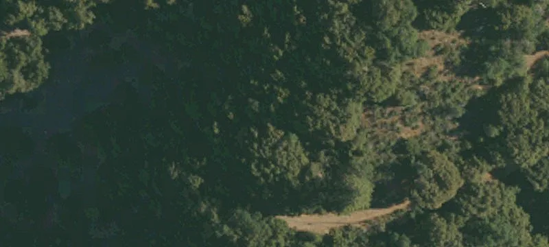 Alleghany, CA 95910