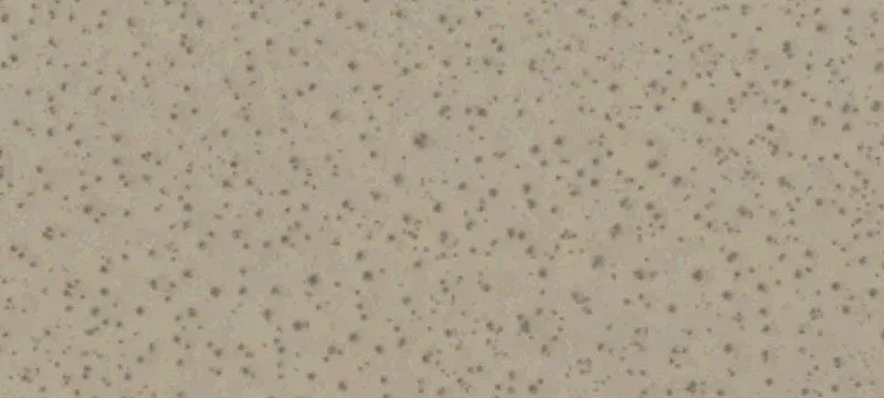 California City, CA 93505