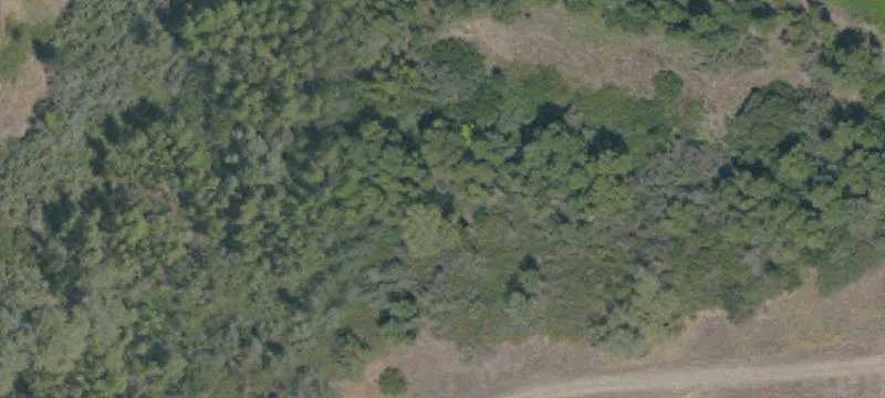 Cottonwood, CA 96022