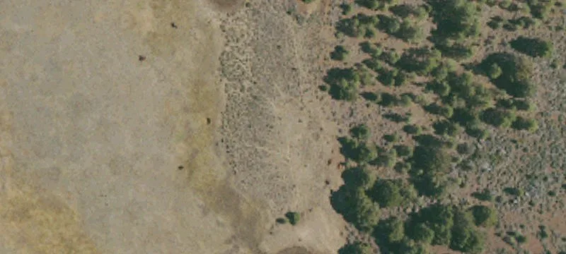 Termo, CA 96132