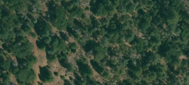 20350 Old Hwy 120