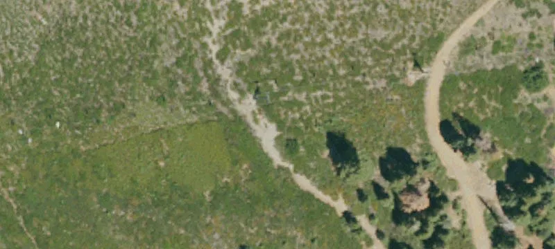 Homewood, CA 96141