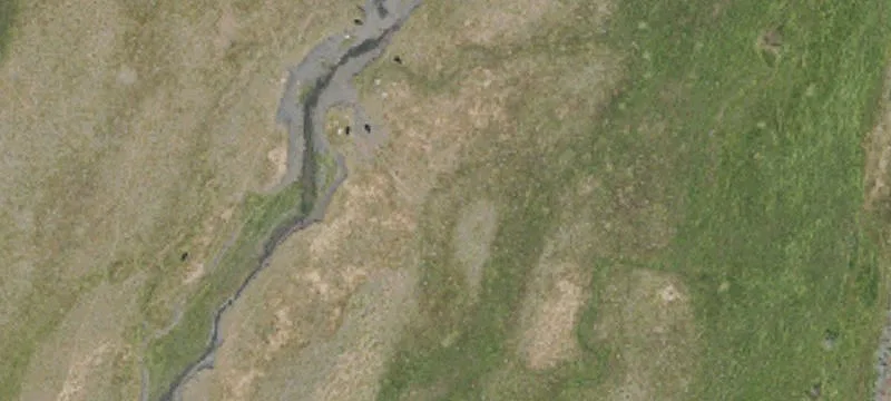 Susanville, CA 96130