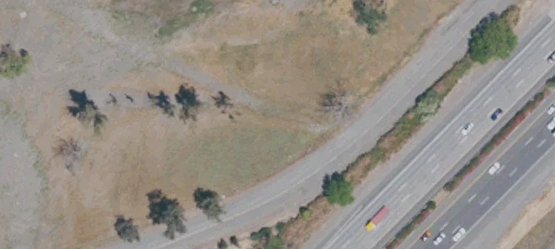 Dixon, CA 95620