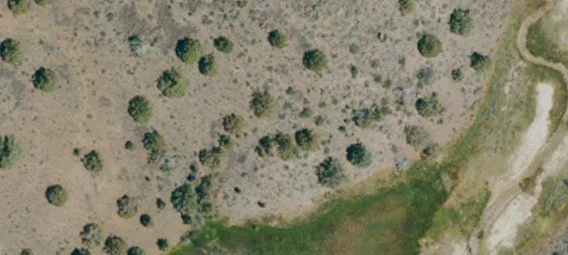 Susanville, CA 96130