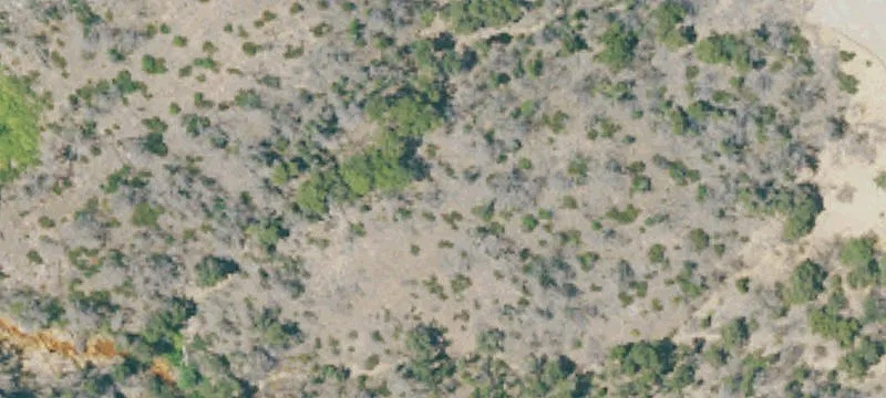 Shasta, CA 96087