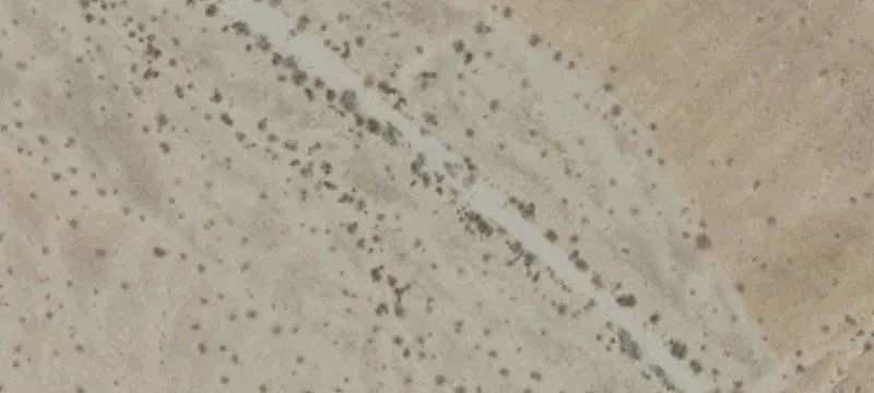 Desert Center, CA 92239