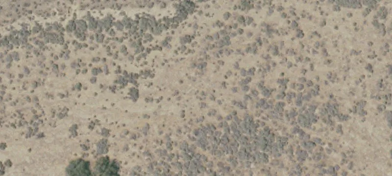 Shandon, CA 93461