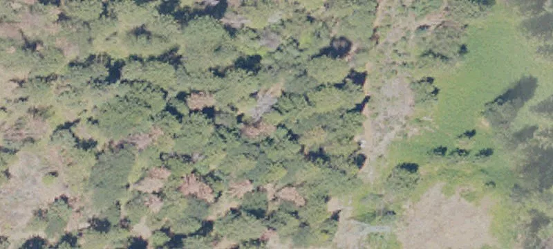 Grass Valley, CA 95945