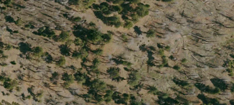 Willows, CA 95988