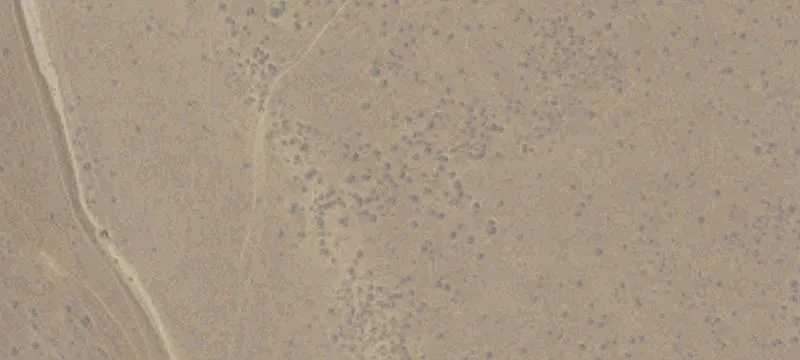 Tehachapi, CA 93561