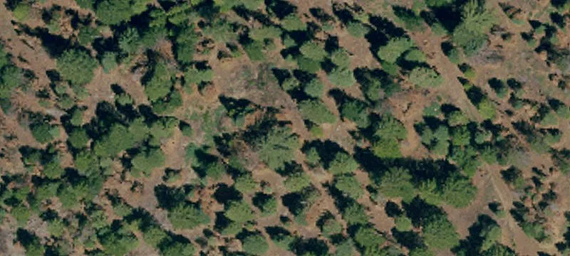Westwood, CA 96137