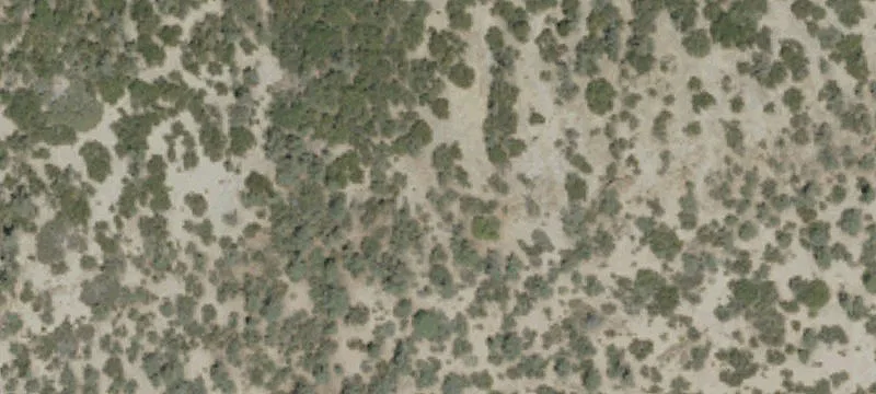 Caliente, CA 93518