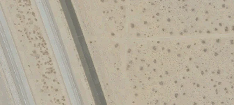 Mojave, CA 93501