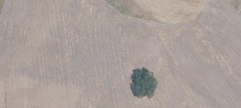 Cotati, CA 94931