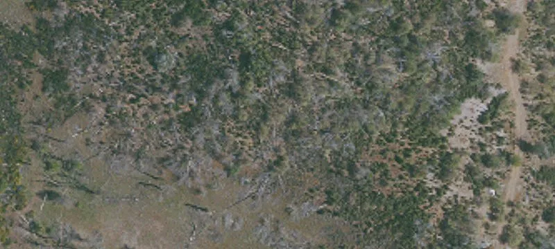 Cobb, CA 95426