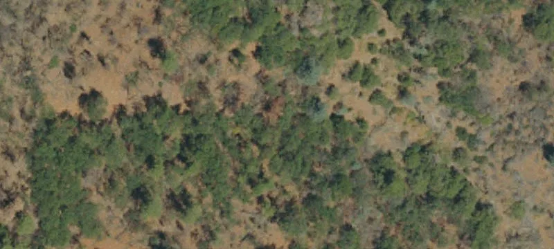 Redding, CA 96003