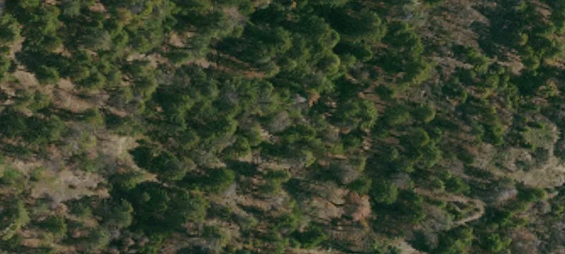 Elk Creek, CA 95939