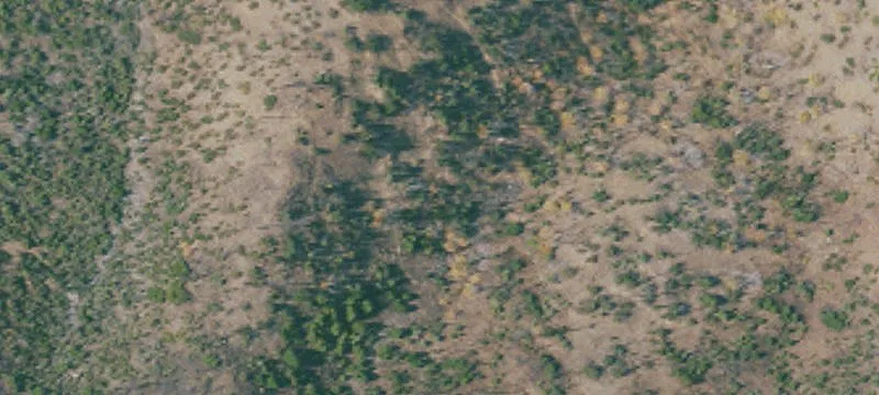 Willows, CA 95988