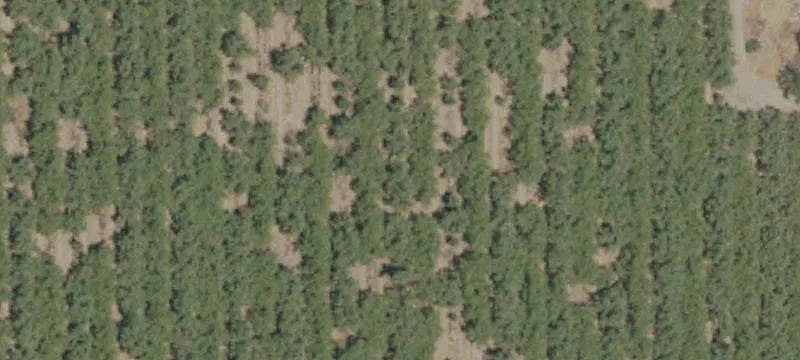 Kaufman Rd