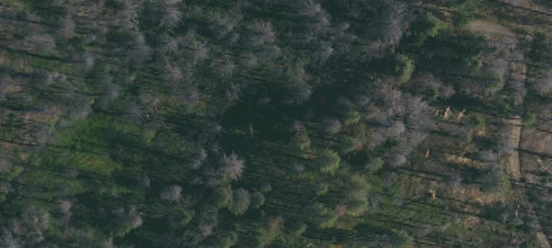 Berry Creek, CA 95916