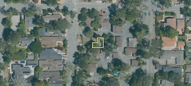Guadalupe St