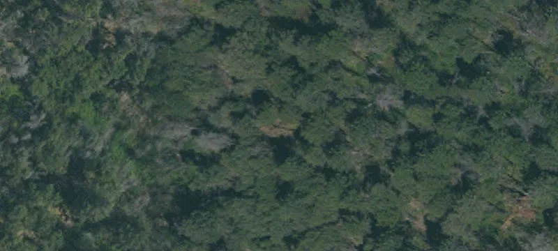 Nimshew Rd