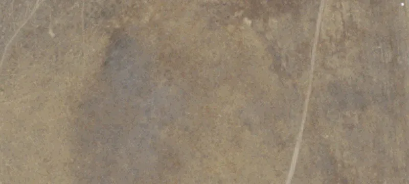 San Miguel, CA 93451