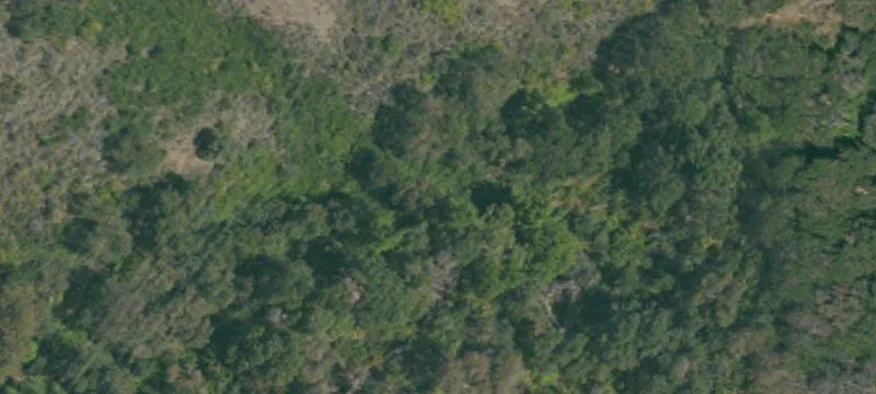 Los Altos Hills, CA 95014