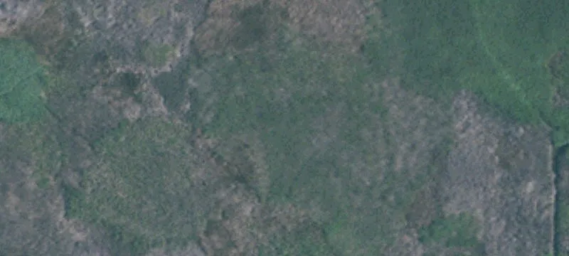 Willow Pass Rd