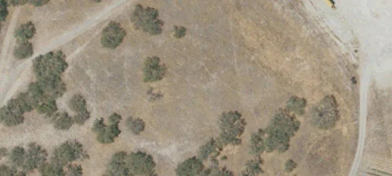 333 Lupine Ln