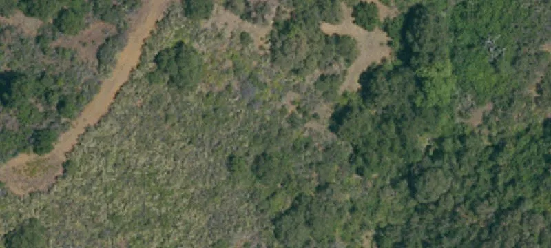 Cupertino, CA 95014