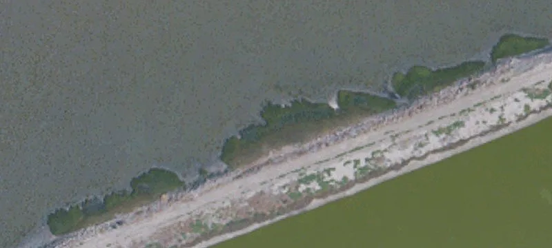 Alviso, CA 95002