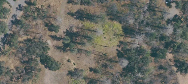 1180 Campagna Ln
