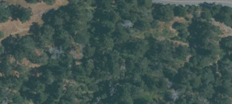 Sylvan Rd