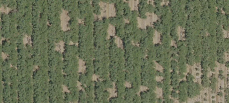 Kaufman Rd
