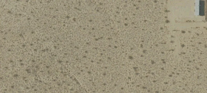 Nsf Cactus Flts Rd