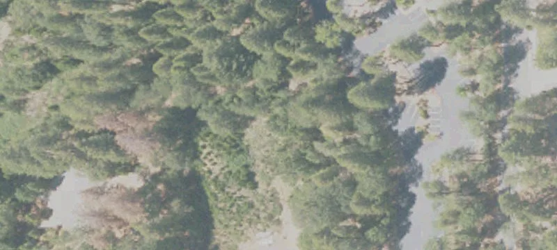 Nevada City, CA 95959
