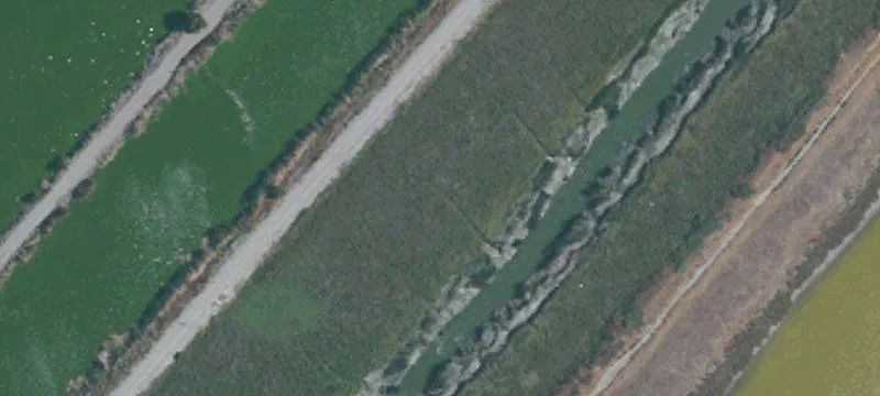 Alviso, CA 95002
